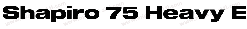 Shapiro 75 Heavy Extd字体转换